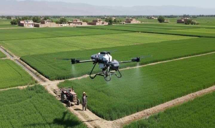 کاربرد پهپاد در کشاورزی
